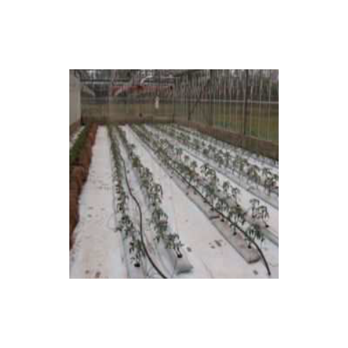 Film de Paillage Hors Sol Blanc /...