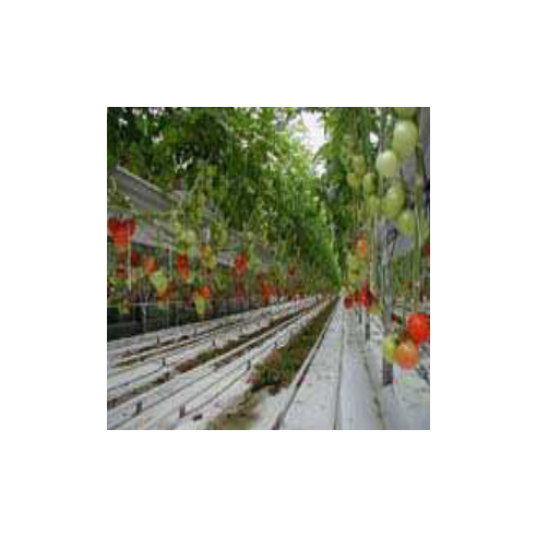 Film de Paillage Hors Sol Blanc /...