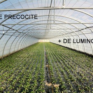 Bâche Pour Serre 5m00 2