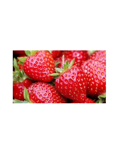 Fraise Blanc/noir