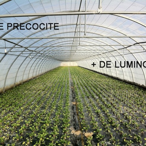 Bâche Pour Serre 5m50
