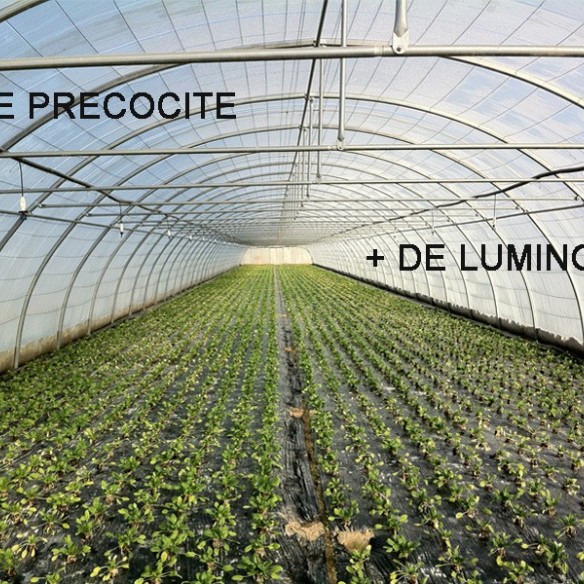 Bâche Pour Serre 5m50