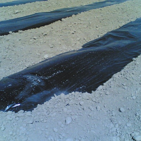 Film de Paillage Noir