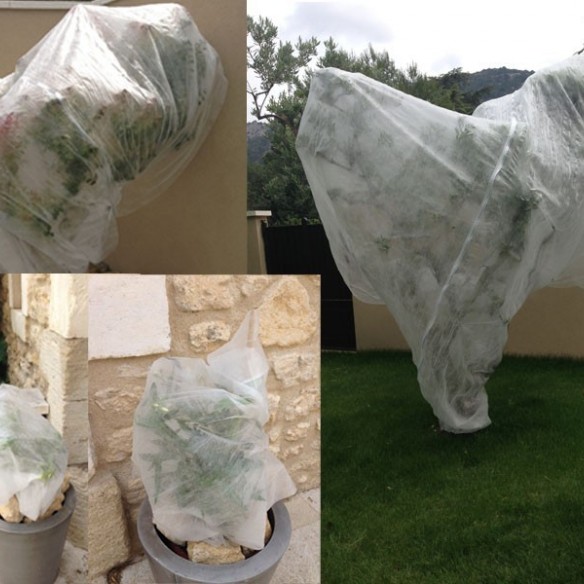 Voile d'Hivernage 1m60